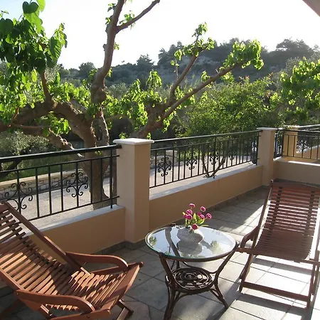 Athina's In Olive Grove *