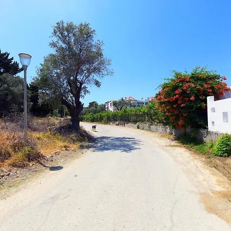 Athina's In Olive Grove Apartman Faliráki