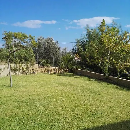 Athina's In Olive Grove * Faliráki
