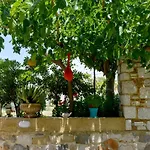 Athina's In Olive Grove *