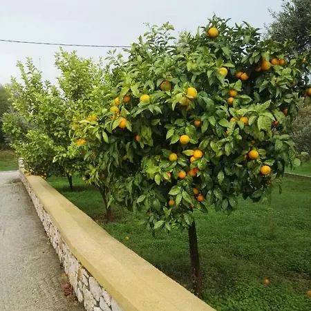 Athina's In Olive Grove דירה פליראקי