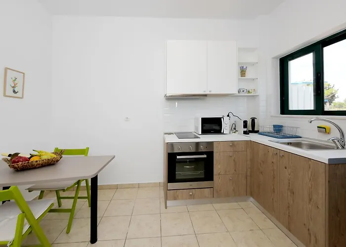 Athina's In Olive Grove