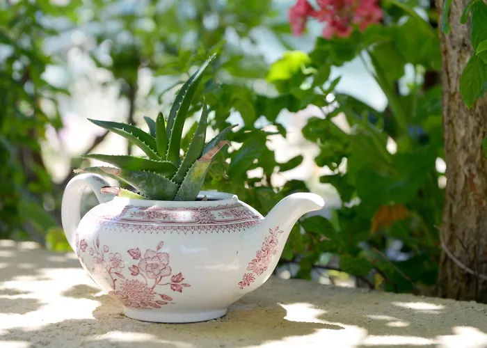 Apartamento Athina's In Olive Grove *