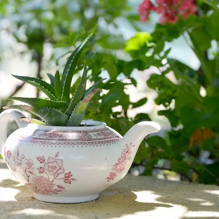 Appartement Athina's In Olive Grove *