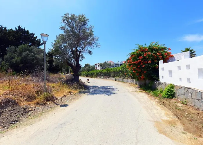 In Olive Grove Lejlighed Faliraki