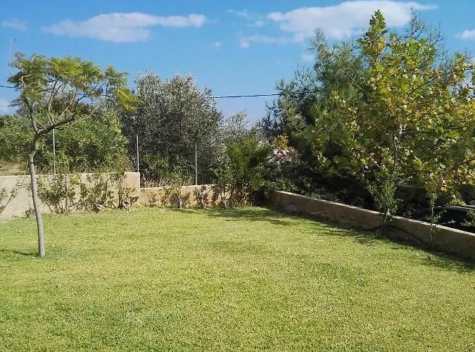 In Olive Grove * Faliraki