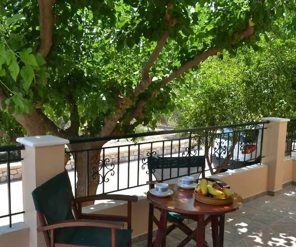 In Olive Grove * Faliraki